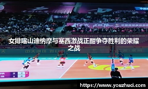 女排喀山迪纳摩与塞西激战正酣争夺胜利的荣耀之战