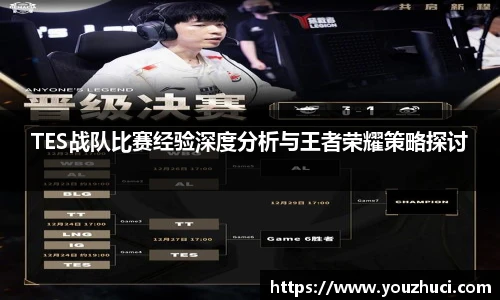 TES战队比赛经验深度分析与王者荣耀策略探讨