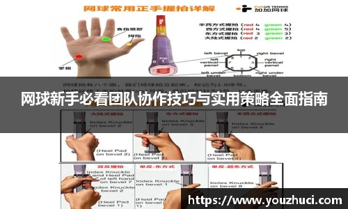 网球新手必看团队协作技巧与实用策略全面指南